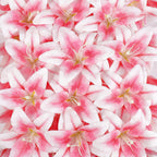 32 Pack Large Artificial Lilies Flower Heads with Realistic Stamens 5.5" Faux Fake Lily Silk Flower Heads Bulk with Butterfly for DIY Crafts Cake Wedding Bridal Wreaths Table Home Party Decoration