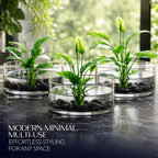 Royal Imports Flower Glass Vase Decorative Centerpiece for Home or Wedding - Cylinder Shape, 4" Tall, 8" Opening, Clear