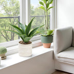 Artificial Potted Plants, 13.8" Artificial Succulent Fake Aloe, Large Faux Aloe Plant in Pot for Home Office Room Bedroom Kitchen Garden Decor (Grey)