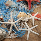 24 PCS Starfish, Mixed Starfish 2" to 3" and 3" to 4" Natural Seashells Starfish White Starfish Ornaments Perfect for Wedding Beach Theme Party Home Decorations, DIY Crafts, Fish Tank