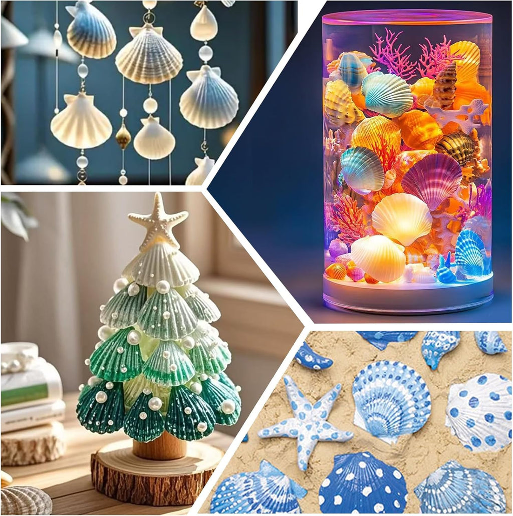 30PCS Natural Scallop Shells 2.3''-3'' White Sea Shells for DIY Craft Making, Hand Painting, Ocean Themed Party and Home Décor