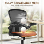 FelixKing Office Chair, Ergonomic Desk Chair with Wheels, Adjustable Lumbar Support & Height, 360° Swivel Mesh Computer Chair with Flip-up Arms (Black)