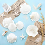 Junkin 40 Pack Natural Scallop Shells and Artificial Starfish for Crafts Sea Shells Decoration 20 Pcs 2.8"-4.3" Seashells & 20 Pcs 2.1" Starfish for DIY Painting Home Wedding Decor(Solid,White)