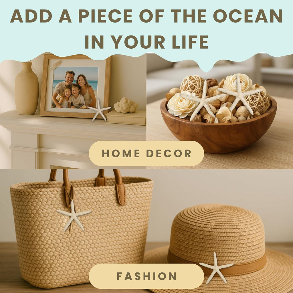 Starfish Decor - Star Fish for Craft - 6pk Real 3-4" White Sea Stars - Beach Wedding Decor - Coastal Party Decorations - Seashell Decor