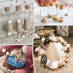 Premium Tiny Seashell Mix, Including Sea Shells, Sea Snails and Starfish total 300+PCS (8 Kinds), Shells for Crafts Decorating Resin and Mosaics Projects DIY Crafts Home Decor Beach Themed Party