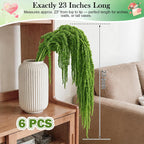 6Pcs Light Green Dried Amaranthus Hanging Flowers for Wedding Arch, 100% Natural Preserved Amaranthus Flowers for Floral Arrangement, Wall Home Decor (23 in)