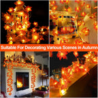 TURNMEON 2 Pack Fall Decor Enlarged Maples Leaves Lights Total 20Ft 40LED Fall Decorations for Home, Battery Operated Autumn Garland Lights Waterproof Indoor Outdoor Halloween Thanksgiving Decorations