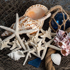 Nautical Crush Trading Starfish & Knobby Starfish Decor - (5) White Starfish 4-6" and (5) Knobby Starfish 2-3.5" - Beach Wedding Decor - Coastal Party Decorations - Seashell Decor