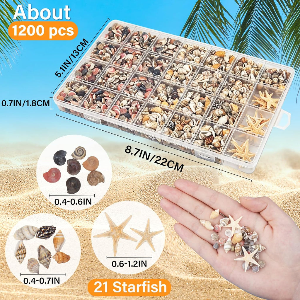 1200 PCS Tiny Seashells & 21 Starfish Mixed 18 Kinds Bulk Beach Small Shells for Home Decor, Beach Theme Party Decor, Fish Tank Aquarium, Sea Shells for Crafting Vase Filler, Beach Candle
