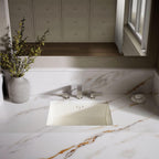 Kohler K-2330-96 Interior 1-Bowl Undermount Bath Sink Biscuit