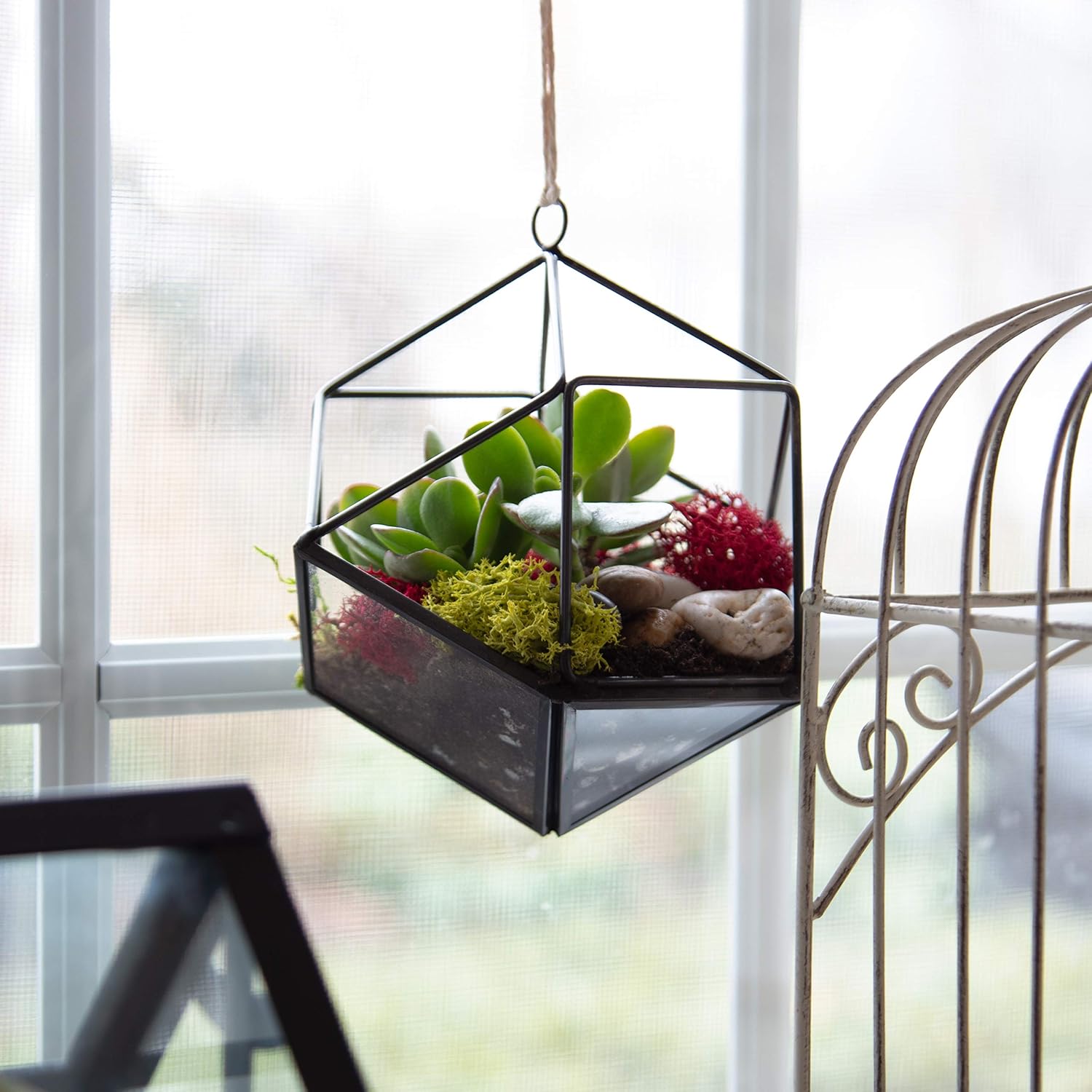 D'Eco Glass Mini Geometric Plant Terrariums 3 Pack - Triangle, House & Prism Planters for Spring Home Decor - Fill with Succulents, Cacti, Air Plants, Moss, Flowers for Plant Lovers
