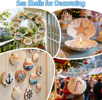 VMEECARL 10Pcs 4"-5" Large Scallop Shells for Crafts, Natural White Sea Shells for Crafts, DIY Painting, Beach Wedding Decorations – Bulk Sea Shells for Home Decor, Coastal Party, and Craft Projects