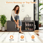 Outdoor Shoe Bench with Waterproof UV-Resistant Indoor Resin Shoe Cabinet Entryway Shoe Cabinet with 2 Doors or Entryway,Living Room,Bedroom,Black (2 Door)