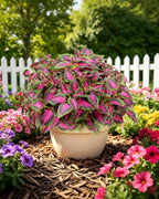 6 Pc Artificial Plants Outdoor, UV Resistant Artificial Outdoor Plants, Faux Coleus Plants with Stems, Fake Greenery Outdoor Plants for Porch Decor, Patio, Garden, Walkway & Outdoor Planters