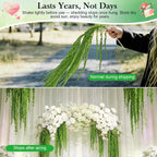 6Pcs Light Green Dried Amaranthus Hanging Flowers for Wedding Arch, 100% Natural Preserved Amaranthus Flowers for Floral Arrangement, Wall Home Decor (23 in)