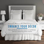 Fresh Ideas Eyelet Bed Skirt, Ruffled Design, 14 Inch Drop, Embroidered Scalloped Edge, Queen, White