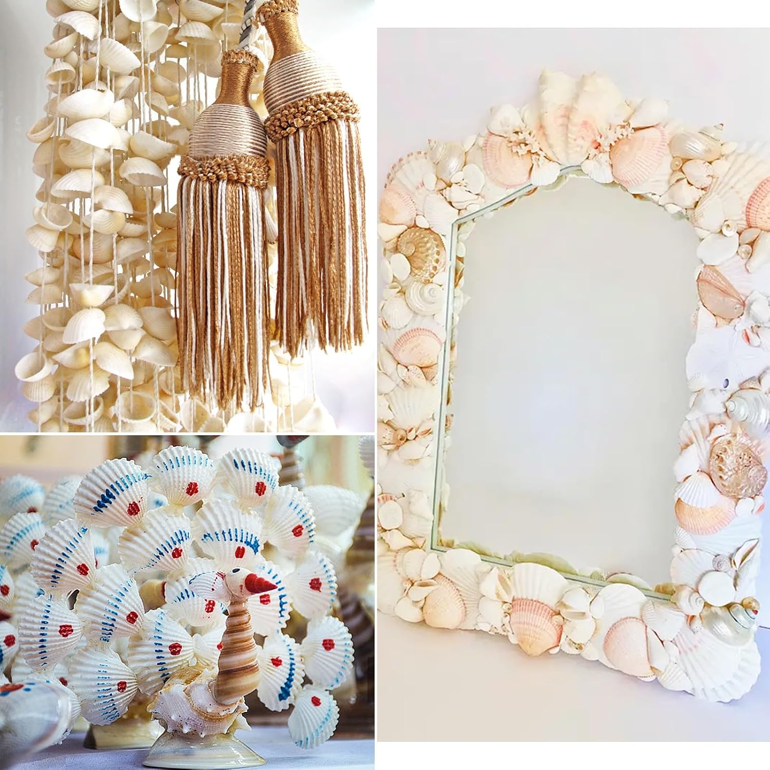 60 PCS Scallop Shells Natural Seashell, 1.5" to 2" White Scallop Shells Small Seashells for Crafts Wedding Decor Beach Theme Party, Fish Tank and Vase Filler