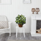 Nearly Natural 22IN Artificial Triple Golden Dieffenbachia Plant with Decorative Wood Planter, Faux Plant for Indoor Home Décor