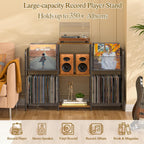 3IngSeagulls Record Player Stand with Vinyl Storage, Record Storage for 350+ Albums, Tuntable Stand with Record Holder for Living Room, Record Holder Vinyl Display Shelf