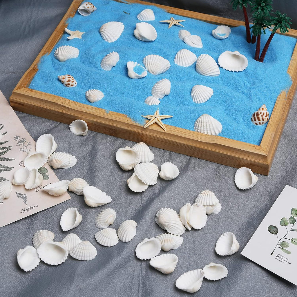 LUCKY BABY 140-160Pcs Small Seashells for Crafts 0.5"-1.25", Natural White Bulk Mini Sea Shells for DIY Painting, Vase Filler, Beach Wedding Decor, Candle Making, Home Decoration, 330g