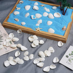 LUCKY BABY 140-160Pcs Small Seashells for Crafts 0.5"-1.25", Natural White Bulk Mini Sea Shells for DIY Painting, Vase Filler, Beach Wedding Decor, Candle Making, Home Decoration, 330g