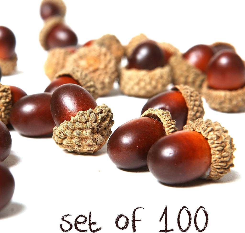 MyGift 100-Piece Brown Assorted Artificial Acorn Caps, Fall Autumn Vase Filler and Rustic Seasonal Decorations