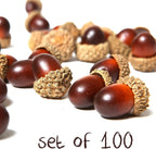 MyGift 100-Piece Brown Assorted Artificial Acorn Caps, Fall Autumn Vase Filler and Rustic Seasonal Decorations