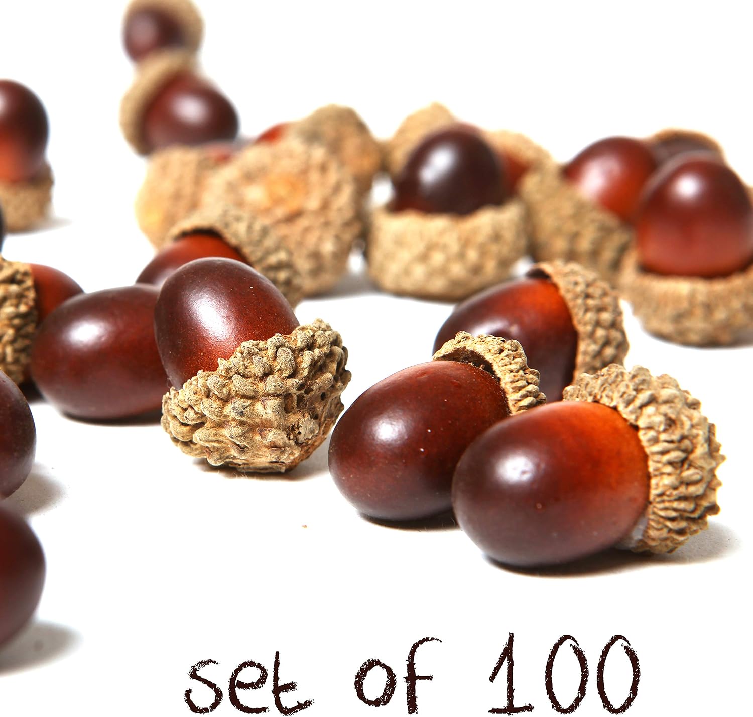 MyGift 100-Piece Brown Assorted Artificial Acorn Caps, Fall Autumn Vase Filler and Rustic Seasonal Decorations