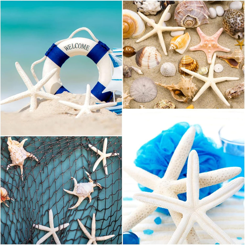 Jangostor 20 PCS Starfish, 2.5" to 4" Natural Seashells Starfish Star Fish Shells Decorations White Starfish Ornaments Perfect for Wedding Beach Theme Party Home Decorations, DIY Crafts, Fish Tank