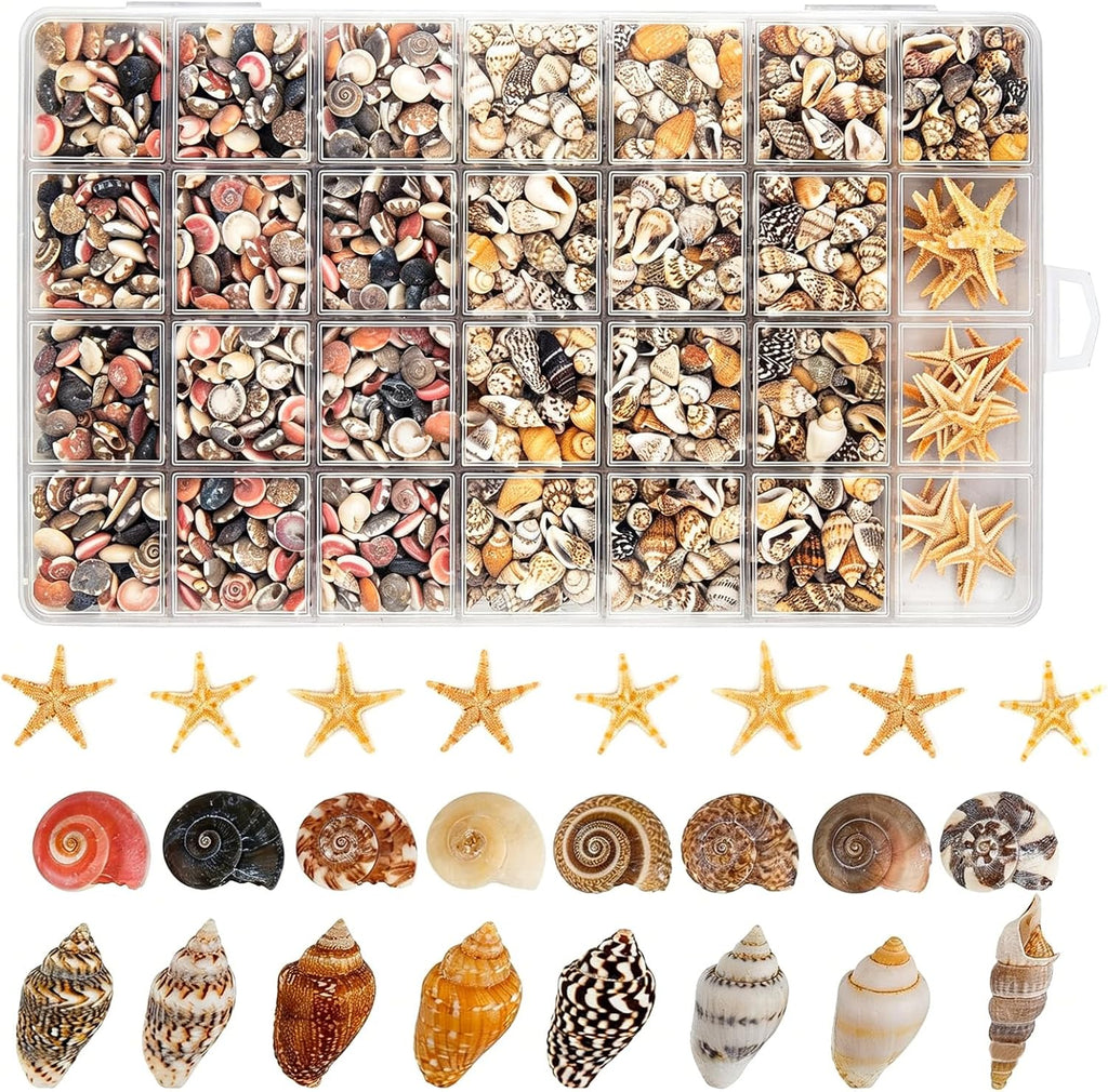 1200 PCS Tiny Seashells & 21 Starfish Mixed 18 Kinds Bulk Beach Small Shells for Home Decor, Beach Theme Party Decor, Fish Tank Aquarium, Sea Shells for Crafting Vase Filler, Beach Candle