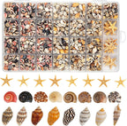 1200 PCS Tiny Seashells & 21 Starfish Mixed 18 Kinds Bulk Beach Small Shells for Home Decor, Beach Theme Party Decor, Fish Tank Aquarium, Sea Shells for Crafting Vase Filler, Beach Candle