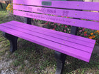 Buddy Bench with Recycled Plastic Frames (Any Color)