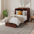 AFI, Sydney Twin Wood Murphy Bed Chest with 6" Mattress, Storage Drawer & Built-in USB Charger, Walnut