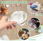 30PCS Oyster Shells for Crafts,Lncluding 25PCS Concave & 5PCS Flat,3"-4" Natural Medium Oyster Shells Bulk,for Home Vase Filler, Xmas Ornaments, DIY Arts and Crafts Sea Shells,Gift 50 Stickers