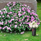 Hushee Memorial Grave Decorations Cemetery Cardinal Flower Vase Metal Gravesite Flower Holder with Spike Graves Metal Funeral for Loss of Loved One Cemetery Outdoors Yard Garden(Dad)