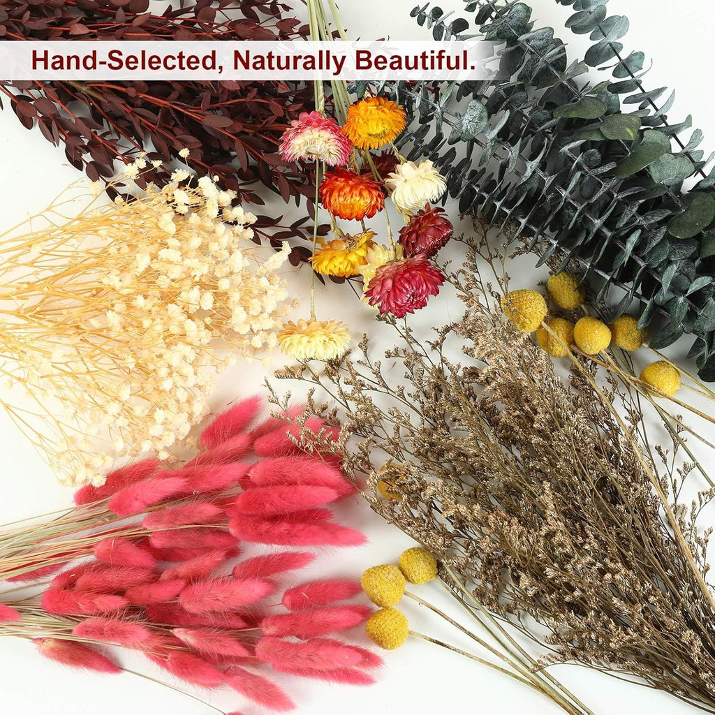 DIY Dried Flower Bouquet Kit, Large Mixed Flowers Assortment - Eucalyptus, Babys Breath, Craspedia, Bunny Tails, Bulk Natural Florals for Wedding Centerpieces, Boho Home Decor, Craft Projects