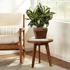 Nearly Natural 22IN Artificial Triple Golden Dieffenbachia Plant with Decorative Wood Planter, Faux Plant for Indoor Home Décor
