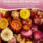 110+ Edible Dried Flowers Mixed Color Helichrysum Strawflower Colorful Natural Flowers for Cocktails Garnishing Cake Decoration Baking Cupcakes Decor Drink Tea Infusions DIY Craft(Colorful)
