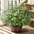 Ivydale Artificial Plants Outdoor 5 Pcs, Faux Greenery Plants Outdoor UV Resistant Silk Plants with Stems, Fake Plants for Outside Planter Front Porch Patio Pathway Decoration(Green)