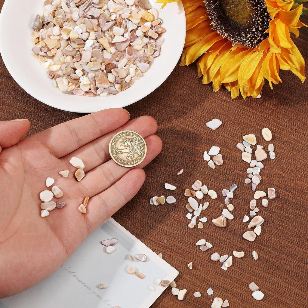 1000g/2.2BL Natural Crushed Shells Chips, 3-9mm Irregular Seashell Fragments, Sea Shell Pieces for DIY Crafts, Vase Filler, Home Décor, Art Projects, Beige Mosaic Decoration