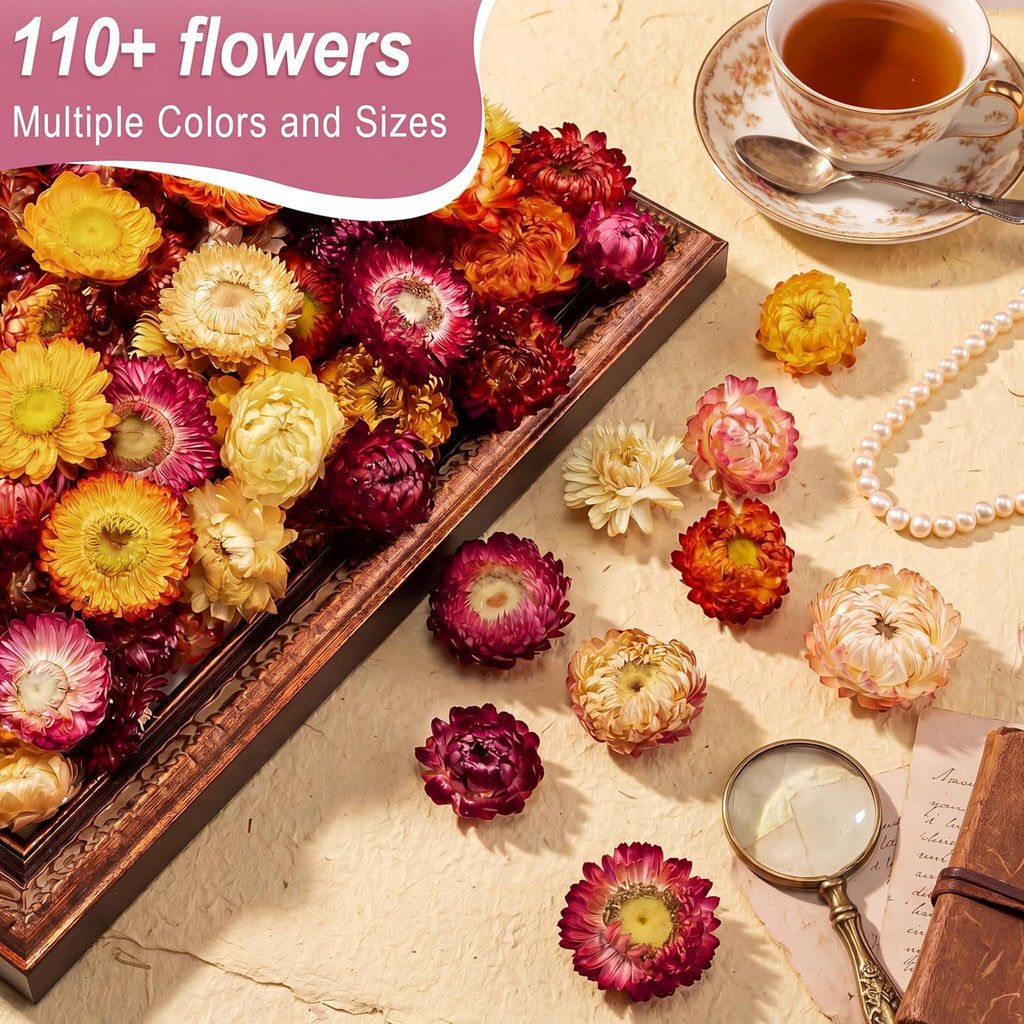 110+ Edible Dried Flowers Mixed Color Helichrysum Strawflower Colorful Natural Flowers for Cocktails Garnishing Cake Decoration Baking Cupcakes Decor Drink Tea Infusions DIY Craft(Colorful)