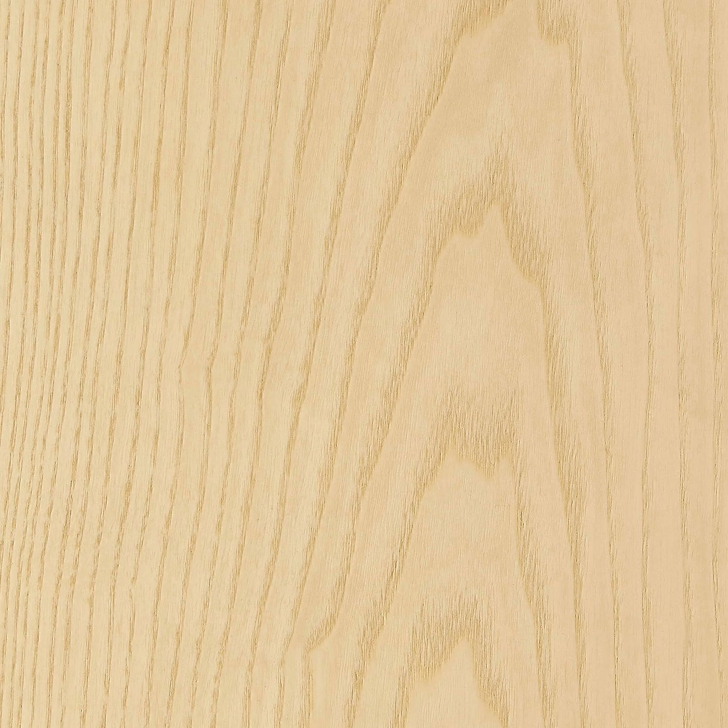 Euro Style Anise End Table | Mid-Century Modern Bentwood Style | Sofa-Side Table for Living Room, Lounge, Bedroom, Nursery, Waiting Areas or Office with Built-in Magazine Storage | Natural Veneer