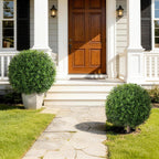 Artificial Boxwood Topiary Ball Trees for Outdoor Set of 2 Fake Plant Bushes with Ground Spike UV Resistant Faux Shrubs for Garden Front Porch, Green