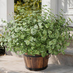 Ivydale Artificial Plants Outdoor 5 Pcs, Faux Greenery Plants Outdoor UV Resistant Silk Plants with Stems, Fake Plants for Outside Planter Front Porch Patio Pathway Decoration(Green)