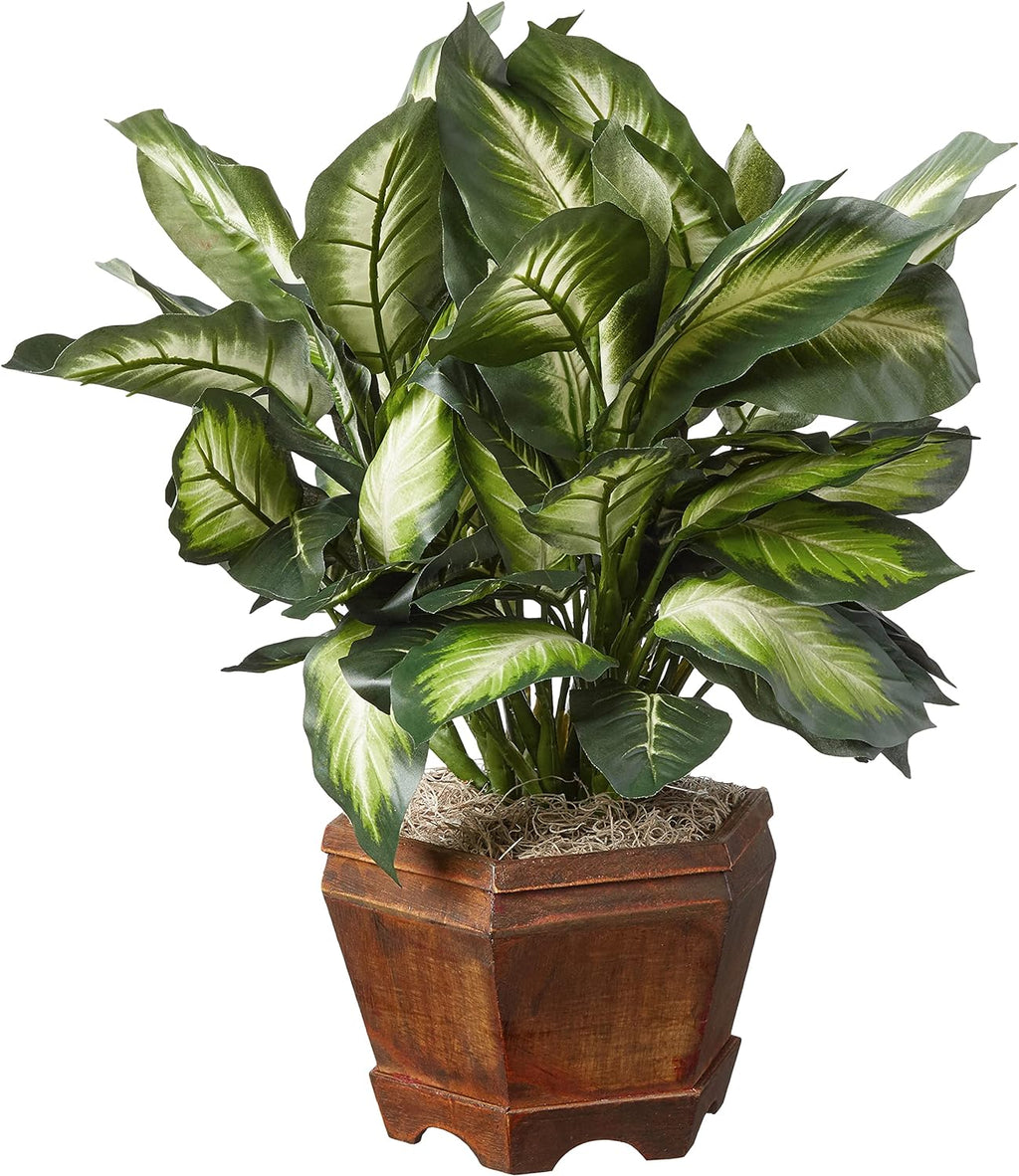 Nearly Natural 22IN Artificial Triple Golden Dieffenbachia Plant with Decorative Wood Planter, Faux Plant for Indoor Home Décor
