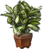 Nearly Natural 22IN Artificial Triple Golden Dieffenbachia Plant with Decorative Wood Planter, Faux Plant for Indoor Home Décor