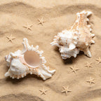 SINKOO 2PCS Conch Shell Large Natural Seashells 4-5.3 Inch Perfect for Fish Tank Wedding Decor Beach Theme Party, Home Decorations,DIY Crafts