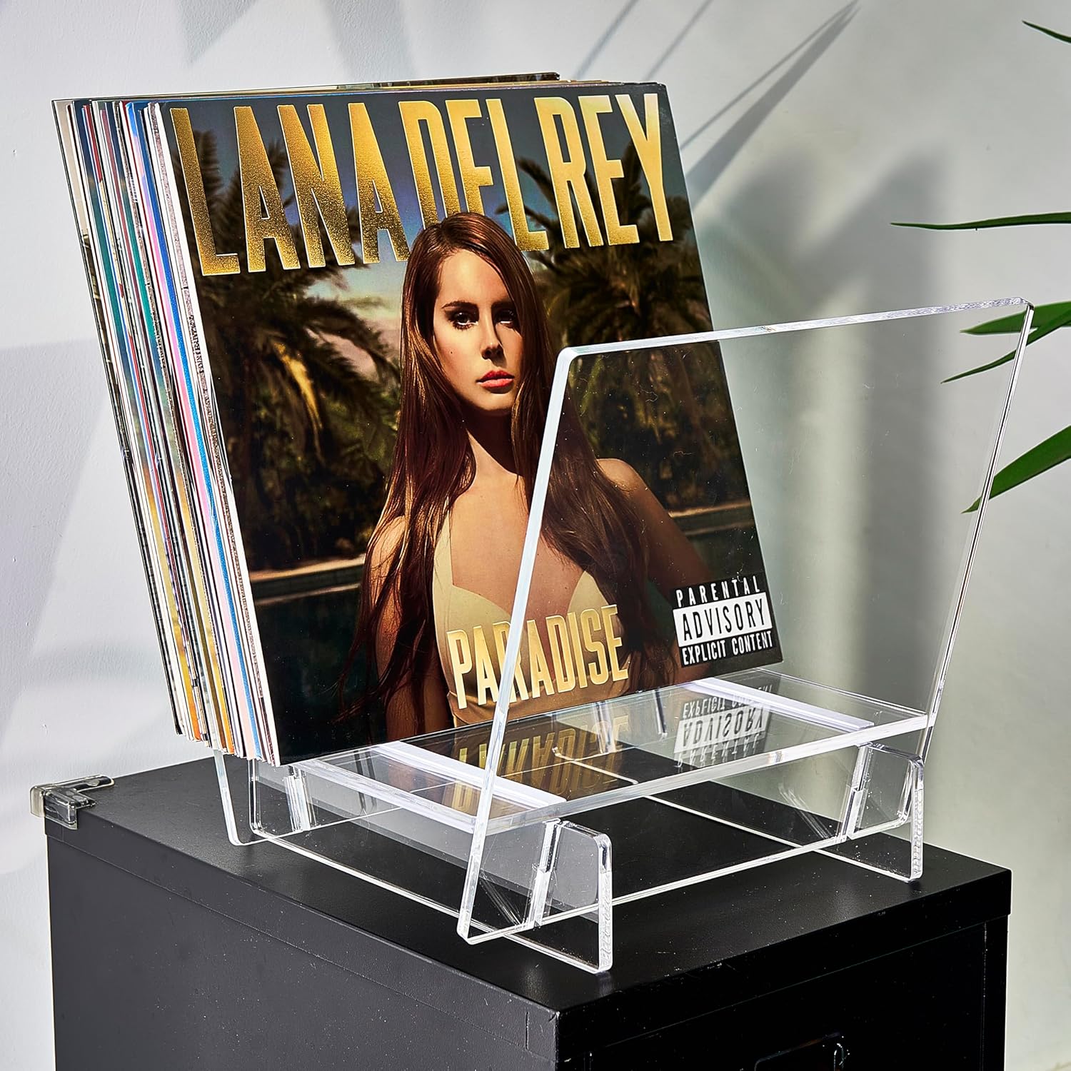 Honygebia Acrylic Vinyl Record Holder - Clear Record Album Holder, V-Shaped Vinyl Record Storage Racks, Album Holders for Vinyl Records, Shelf for Storing Collection of 40 Premium LPs