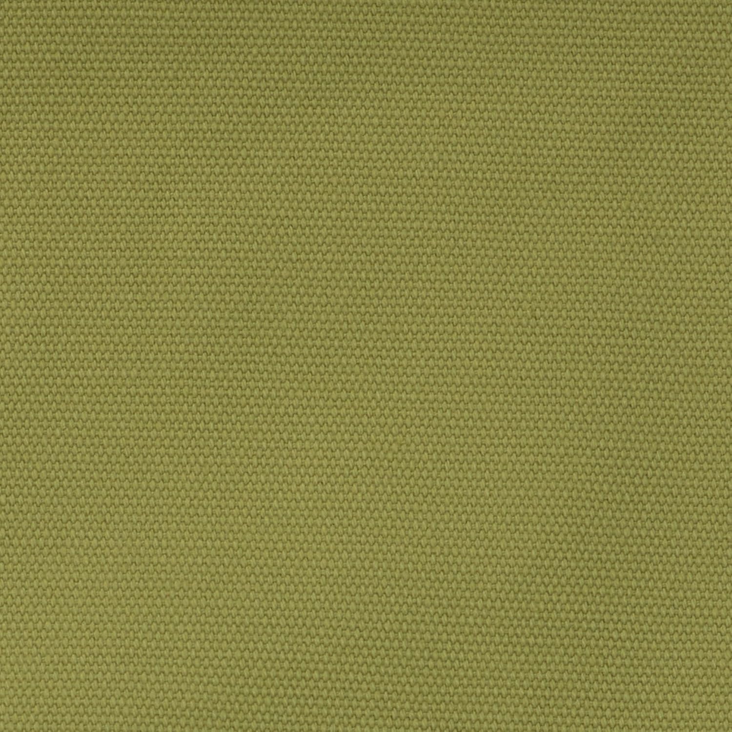 Casual Home 18" Director's Chair Natural Frame with Olive Canvas