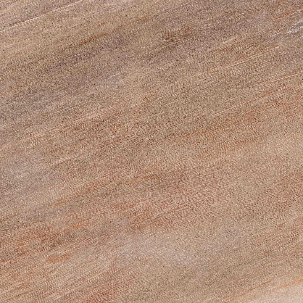 Bali & pari Ziva End Table with Petrified Wood Top - Pedestal Accent Side Table for Living Room or Entryway